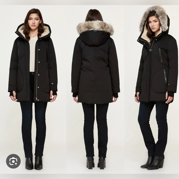 SAUNDRA by SOIA & KYO - same brand and style as Meghan Markle wore - Picture 4 of 5